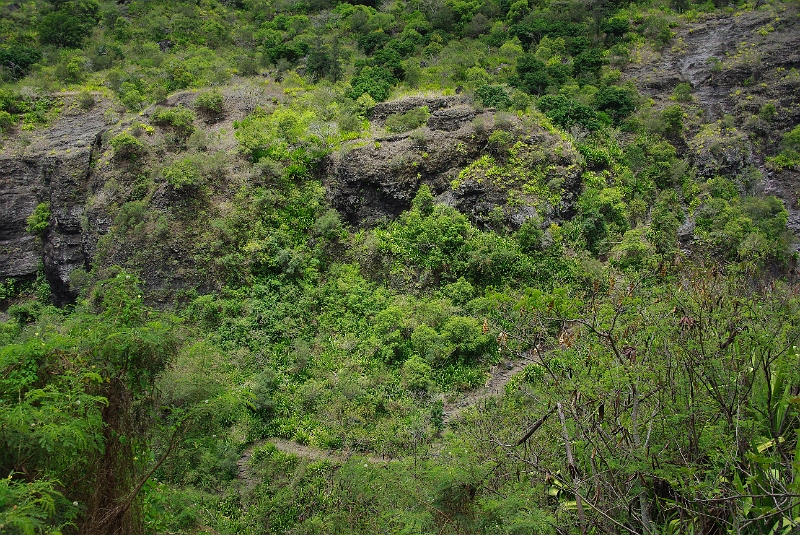 Cirque de Mafate 'Cayenne - Ilet des Lataniers' (104).JPG